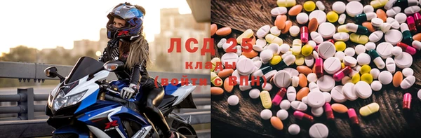 ГАЛЛЮЦИНОГЕННЫЕ ГРИБЫ Балабаново