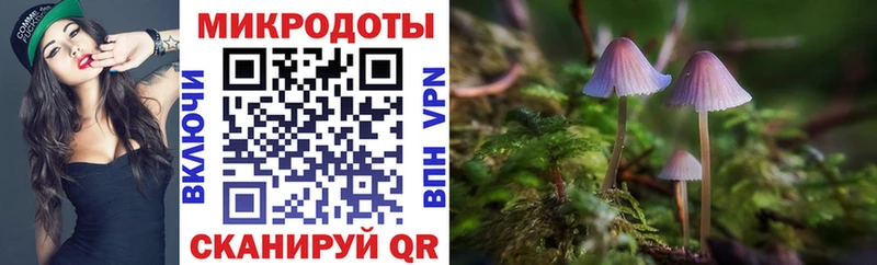где продают наркотики Вятские Поляны Галлюциногенные грибы Cubensis