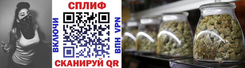 купить закладку  Вятские Поляны  Конопля план 
